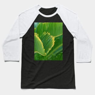 Tropical Palm Leaves Baseball T-Shirt